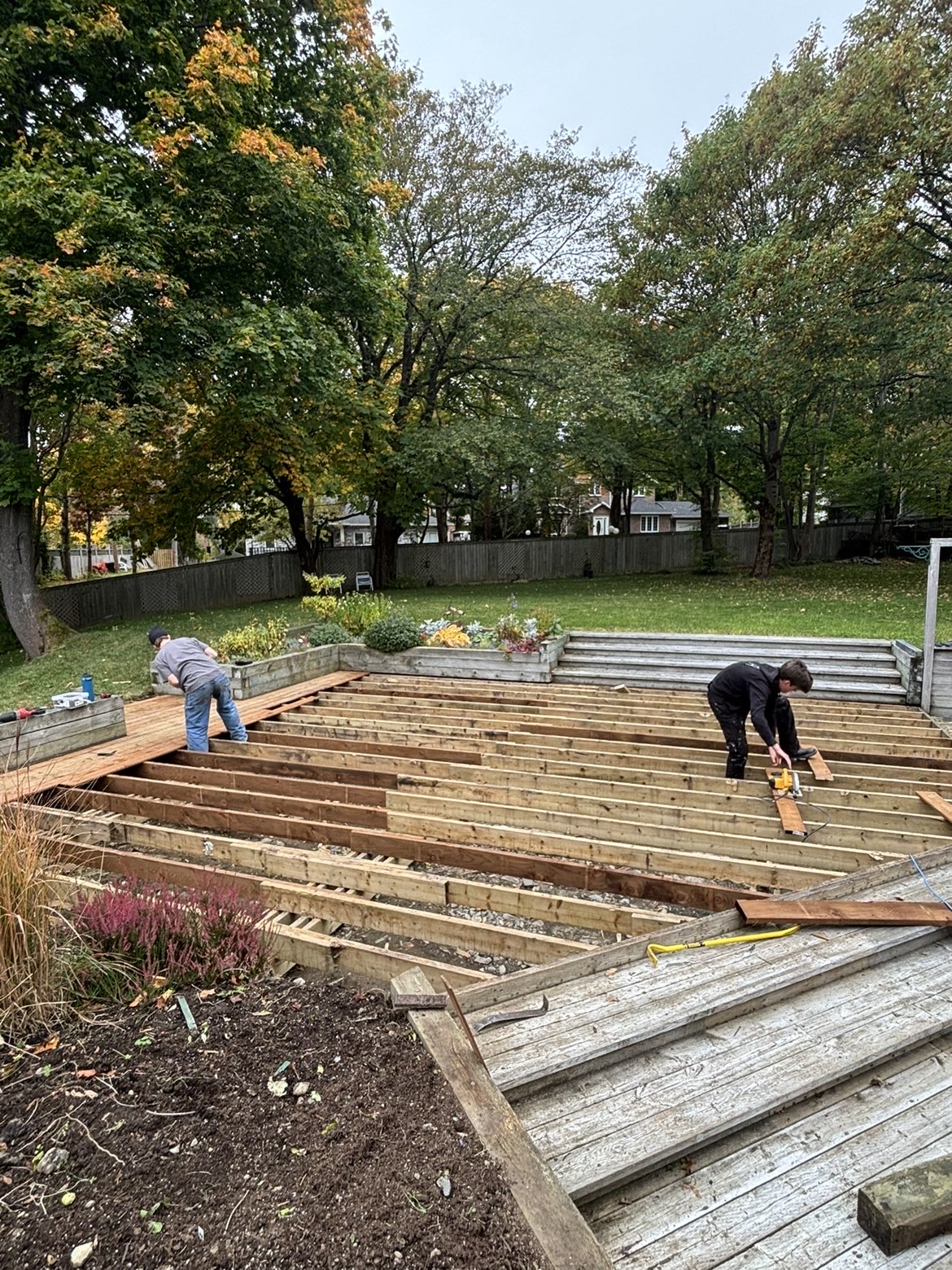 Avalon 360 - Attic Insulation & Property Maintenance photo 1